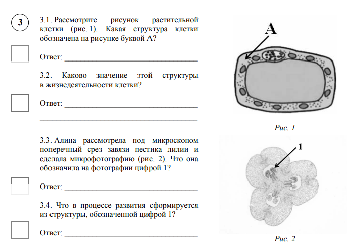 Что на рисунке под цифрой 4